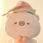 豆豆大王dd