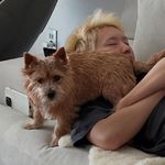 树其