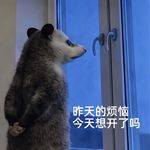 不愿透露姓名的听友
