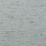 资深工作从业者