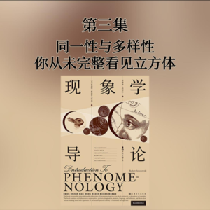 第三集 同一性与多样性——你从未完整看见立方体