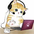 哩个阿猫