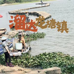 “没文化就溜达”第四期