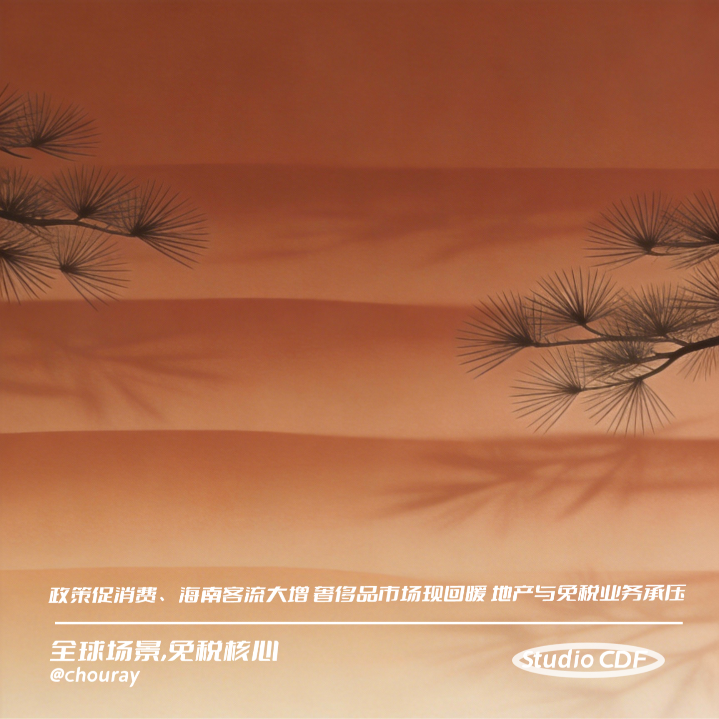 vol53-政策促消费、海南客流大增 奢侈品市场现回暖 地产与免税业务承压 episode artwork