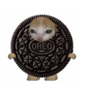 はじめての人と1