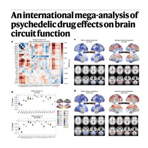 905-The Core Neural Signature of Psychedelic Drug Action