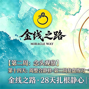 第十四天：周整合静修-整合身体+念头觉察冥想