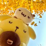 几木合鸟