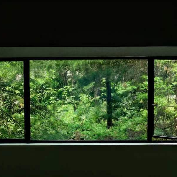 在墙缝中散步才是正经事