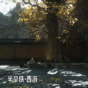 🐒 20.哪个是假的菩萨也看不出来，这事儿还是得问如来