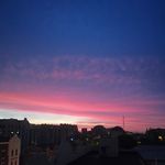 雨前龙井茶