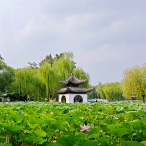 Ep.13 小秋:不明白生活为什么总是艰难,总之再坚持一下