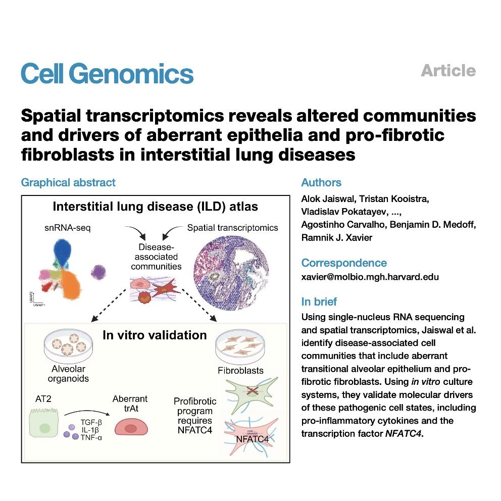 1074-Spatial Topography Drivers of Interstitial Lung Disease episode artwork