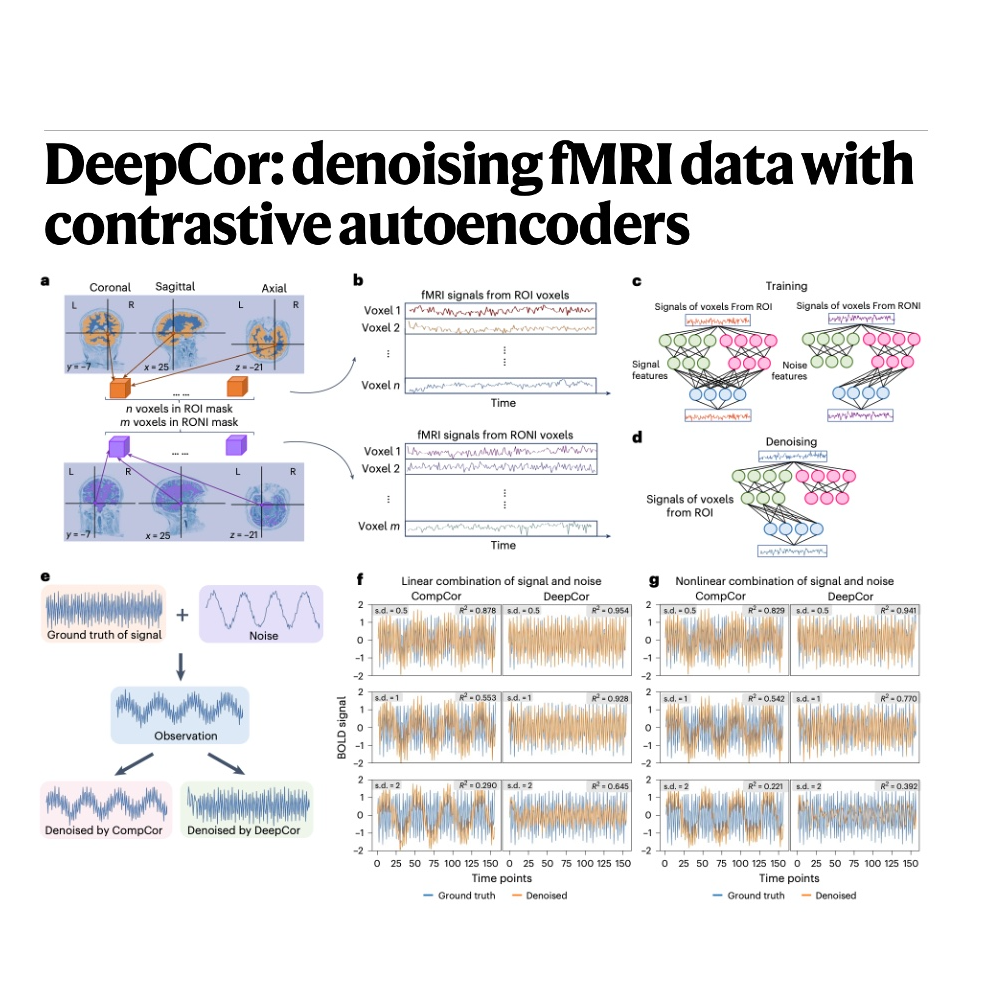 314-DeepCor: Contrastive Autoencoders for fMRI Denoising 314-DeepCor: Contrastive Autoencoders for fMRI Denoising