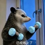 小八练背了吗