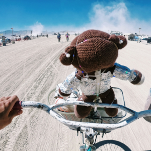 Vol.19 当旅行不再受预算限制，你的梦之旅会是哪里？