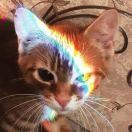 古希腊掌管泥巴的神