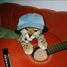 天凉好个秋_ZdfN