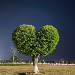 EP11 《被嫌弃的松子的一生》：她不是疯批，是纯倒霉蛋