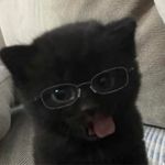 11碎碎念啊念