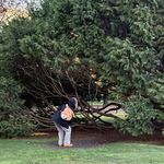 小葵花嗑瓜子儿