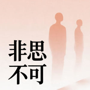 非思不可
