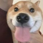 丶Stephen丶