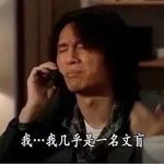 两毛