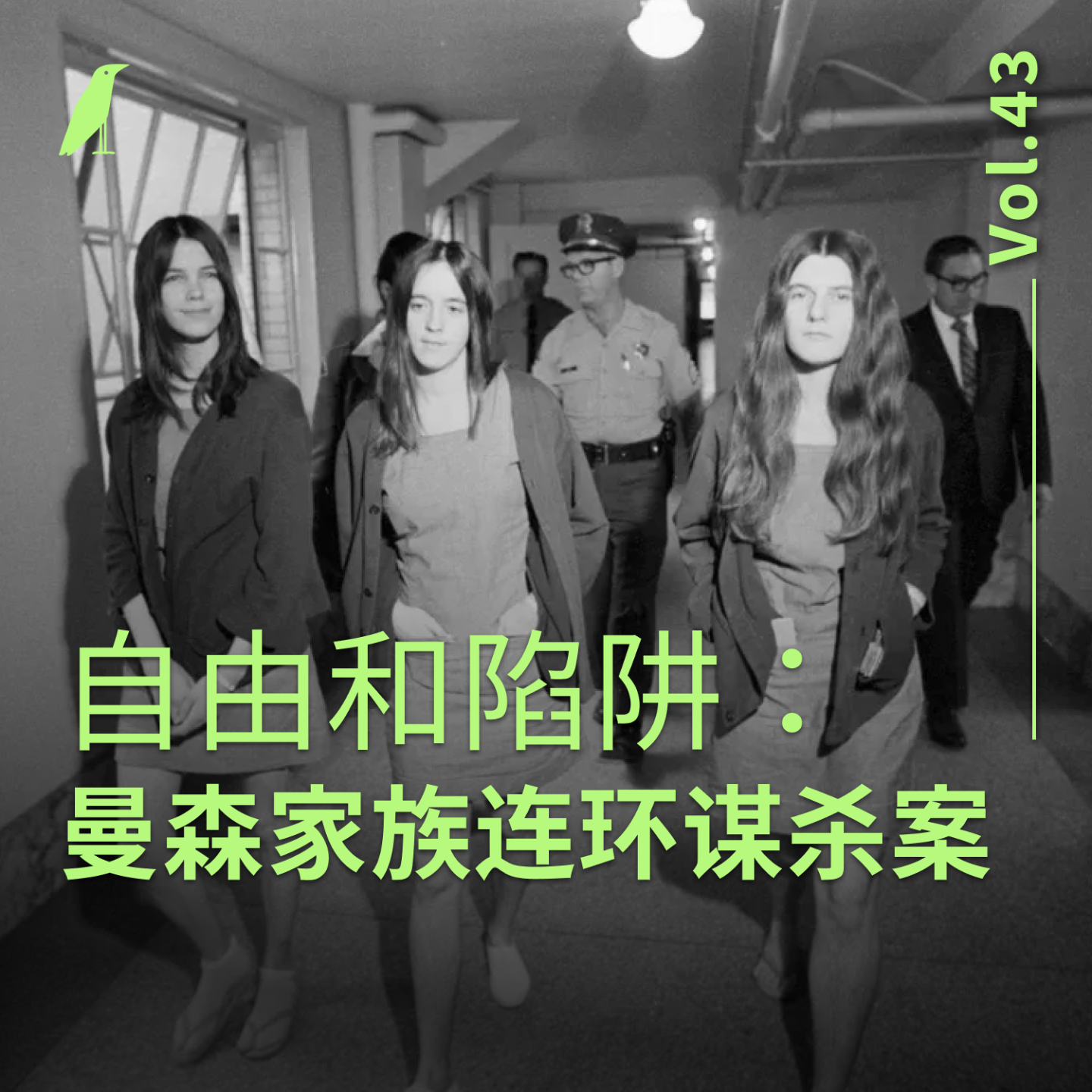 乌鸦不在场