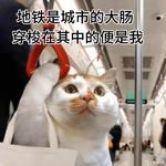 小粉你好