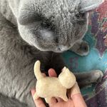 啊我跟谁都不熟