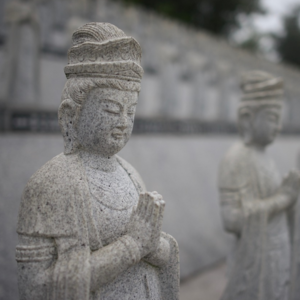 2024年9-12月｜Part 3 年轻人如何学习不同的文化？