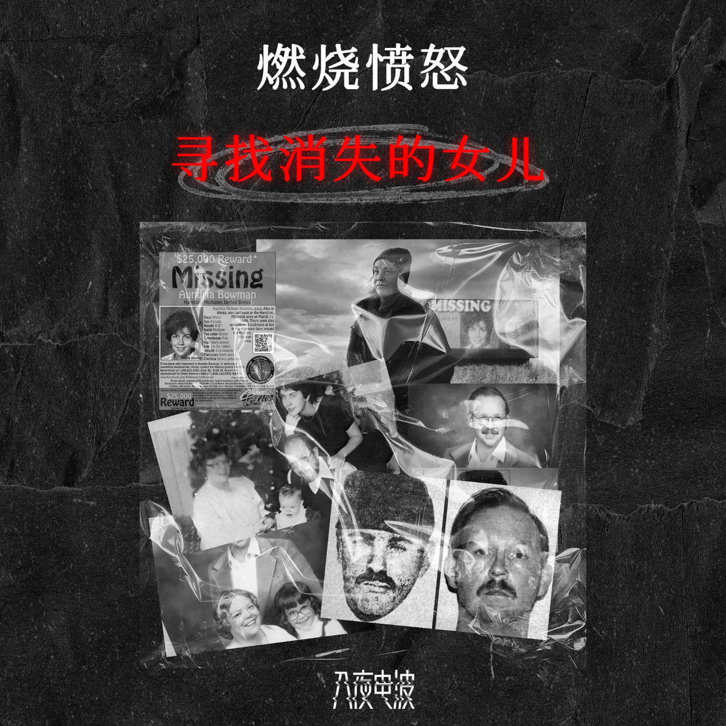 015.燃烧愤怒，寻找消失的女儿 episode artwork