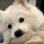 住在蓝色星球的夜夜