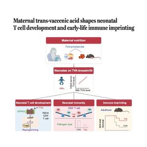 1488-母乳反式真空乳酸重塑新生儿免疫发育
