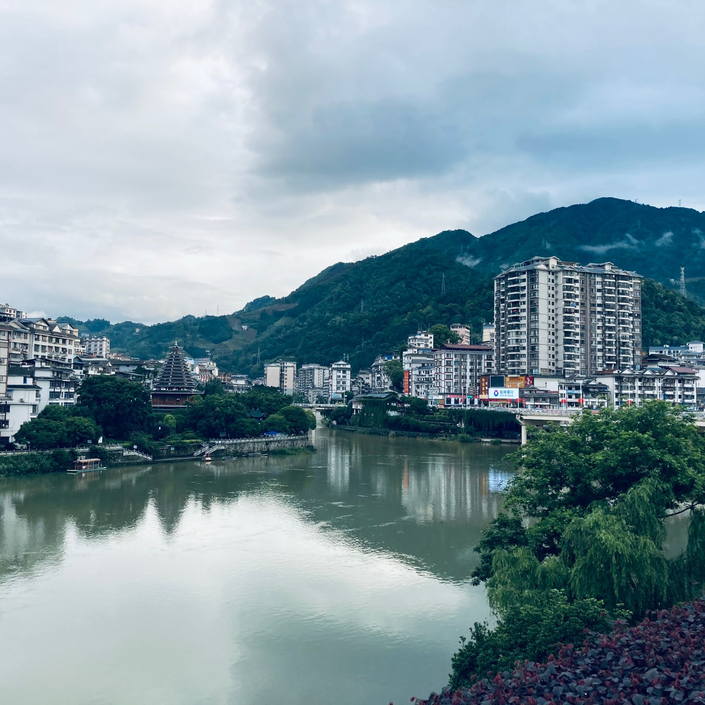 广西龙胜中学陪尔读书会阅读活动