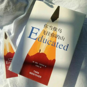 《你当像鸟飞往你的山》：当教育成为叛逃的翅膀