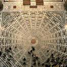 Joanna在蜕壳的Jo