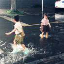 獐子岛在逃扇贝_zAlb