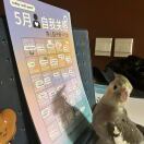 真正英雌-也脆脆