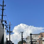 cr小荔枝