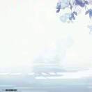 无_5tfy
