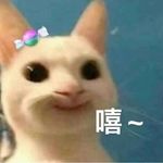 wullalala