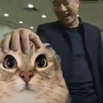 冷冽谷的巴巴博一