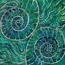 木豆树与酢浆草