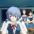 我有一只绫波丽