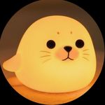 _Sandy33