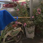 数码戒断中的咕咕