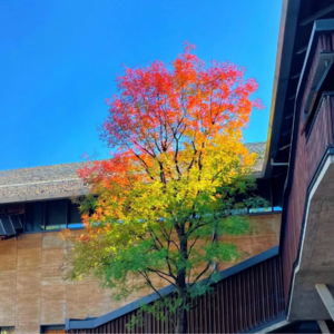 16.讨好型人格、微小的恶与利他陷阱：如何守住自己的边界“舒适区”？