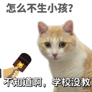 Vol.36|丁克即自私?给猫绝育的你,自己也不想生?